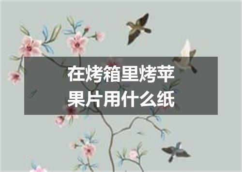 在烤箱里烤苹果片用什么纸