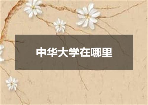 中华大学在哪里