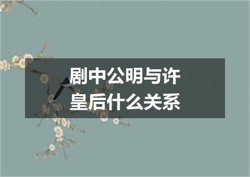 剧中公明与许皇后什么关系