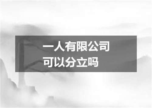 一人有限公司可以分立吗