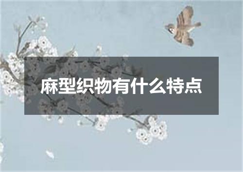 麻型织物有什么特点