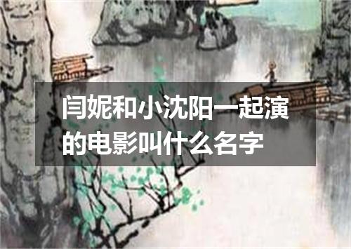 闫妮和小沈阳一起演的电影叫什么名字