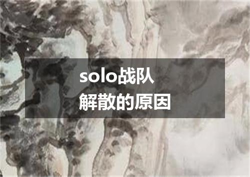 solo战队解散的原因
