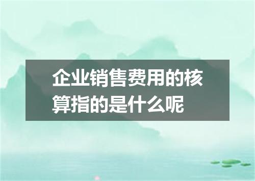企业销售费用的核算指的是什么呢