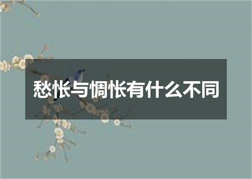 愁怅与惆怅有什么不同