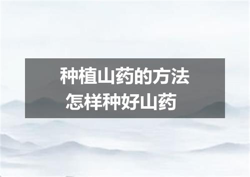 种植山药的方法 怎样种好山药