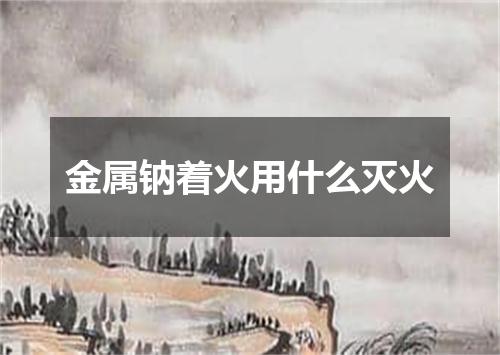 金属钠着火用什么灭火