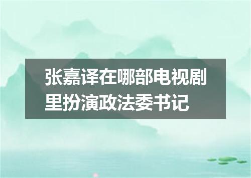 张嘉译在哪部电视剧里扮演政法委书记