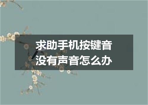 求助手机按键音没有声音怎么办