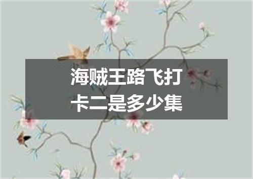 海贼王路飞打卡二是多少集