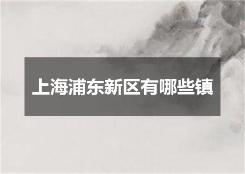 上海浦东新区有哪些镇