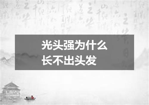 光头强为什么长不出头发