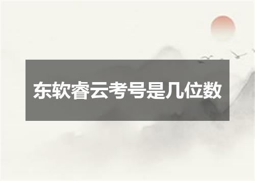 东软睿云考号是几位数