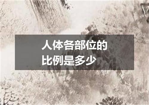 人体各部位的比例是多少