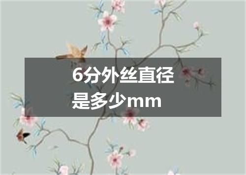 6分外丝直径是多少mm