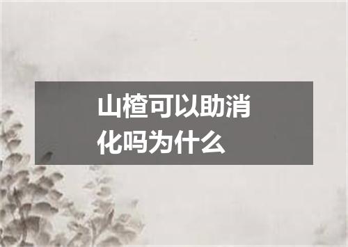 山楂可以助消化吗为什么