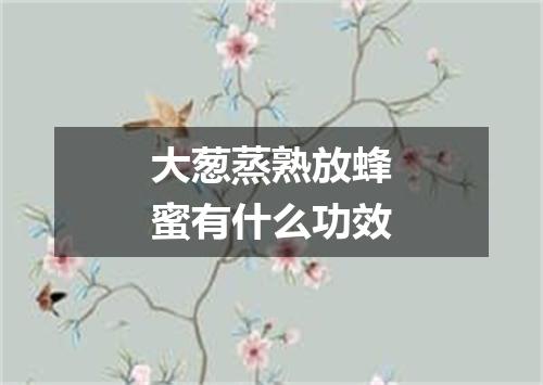大葱蒸熟放蜂蜜有什么功效