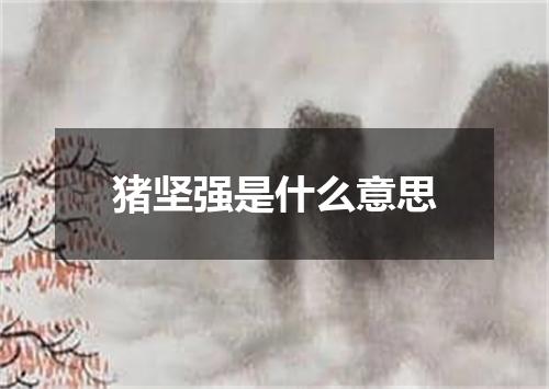 猪坚强是什么意思