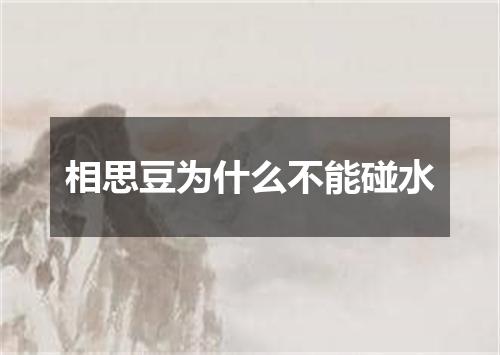 相思豆为什么不能碰水
