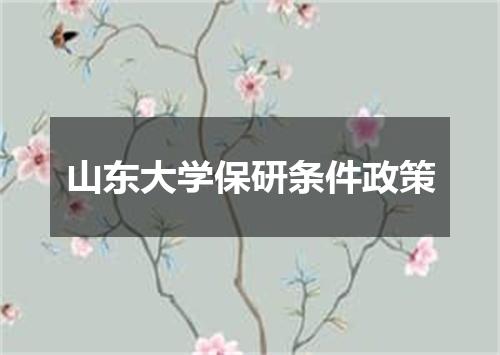 山东大学保研条件政策