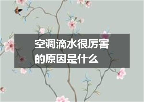 空调滴水很厉害的原因是什么