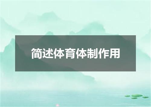 简述体育体制作用