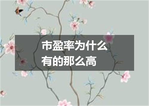 市盈率为什么有的那么高