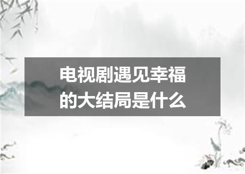 电视剧遇见幸福的大结局是什么
