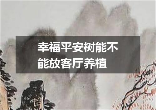 幸福平安树能不能放客厅养植