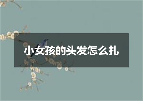 小女孩的头发怎么扎