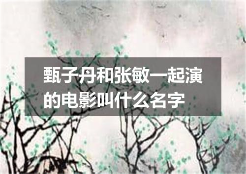 甄子丹和张敏一起演的电影叫什么名字