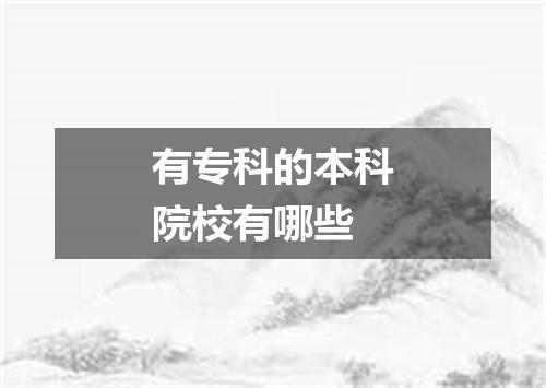 有专科的本科院校有哪些