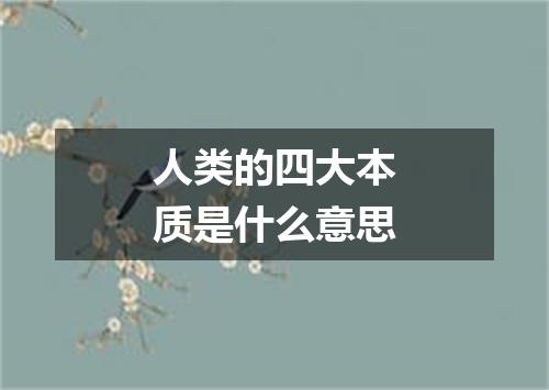 人类的四大本质是什么意思