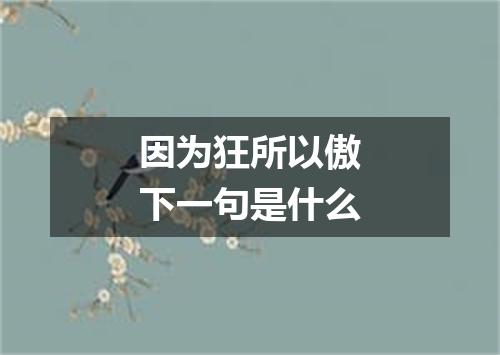 因为狂所以傲下一句是什么