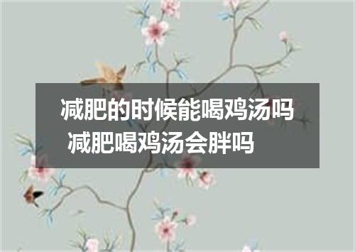 减肥的时候能喝鸡汤吗 减肥喝鸡汤会胖吗