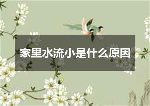 家里水流小是什么原因
