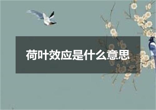 荷叶效应是什么意思