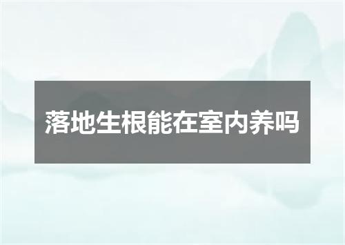 落地生根能在室内养吗