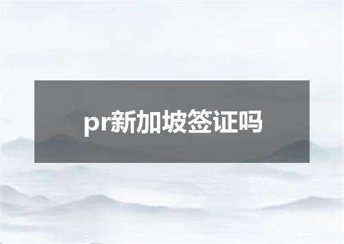 pr新加坡签证吗
