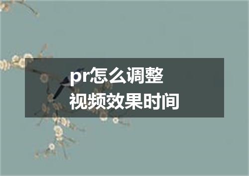 pr怎么调整视频效果时间