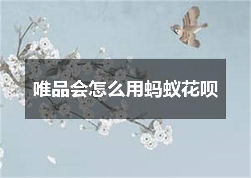 唯品会怎么用蚂蚁花呗