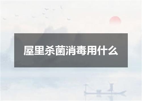 屋里杀菌消毒用什么