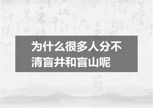 为什么很多人分不清盲井和盲山呢