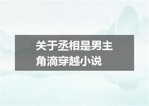 关于丞相是男主角滴穿越小说