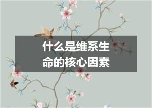 什么是维系生命的核心因素