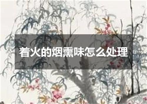 着火的烟熏味怎么处理
