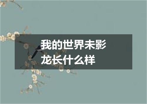 我的世界未影龙长什么样