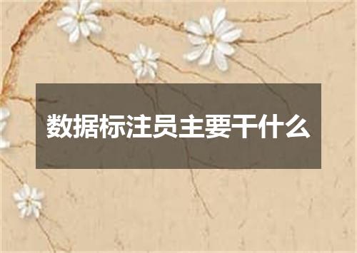 数据标注员主要干什么