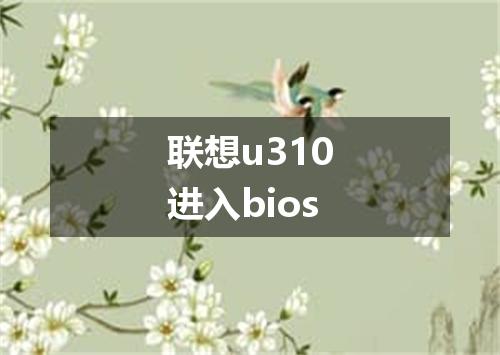 联想u310进入bios