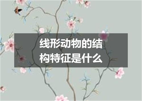 线形动物的结构特征是什么